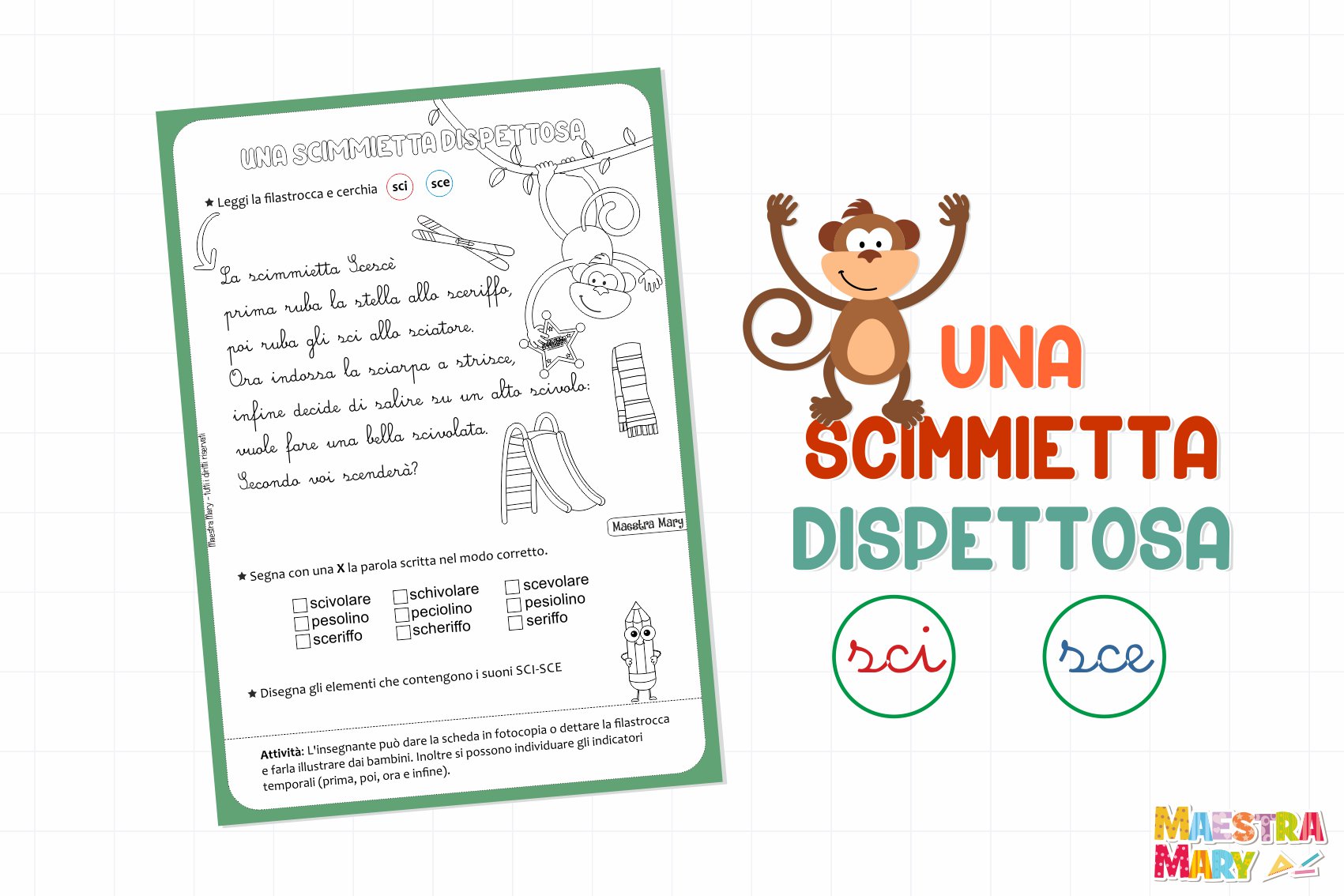 scheda sci sce scuola primaria