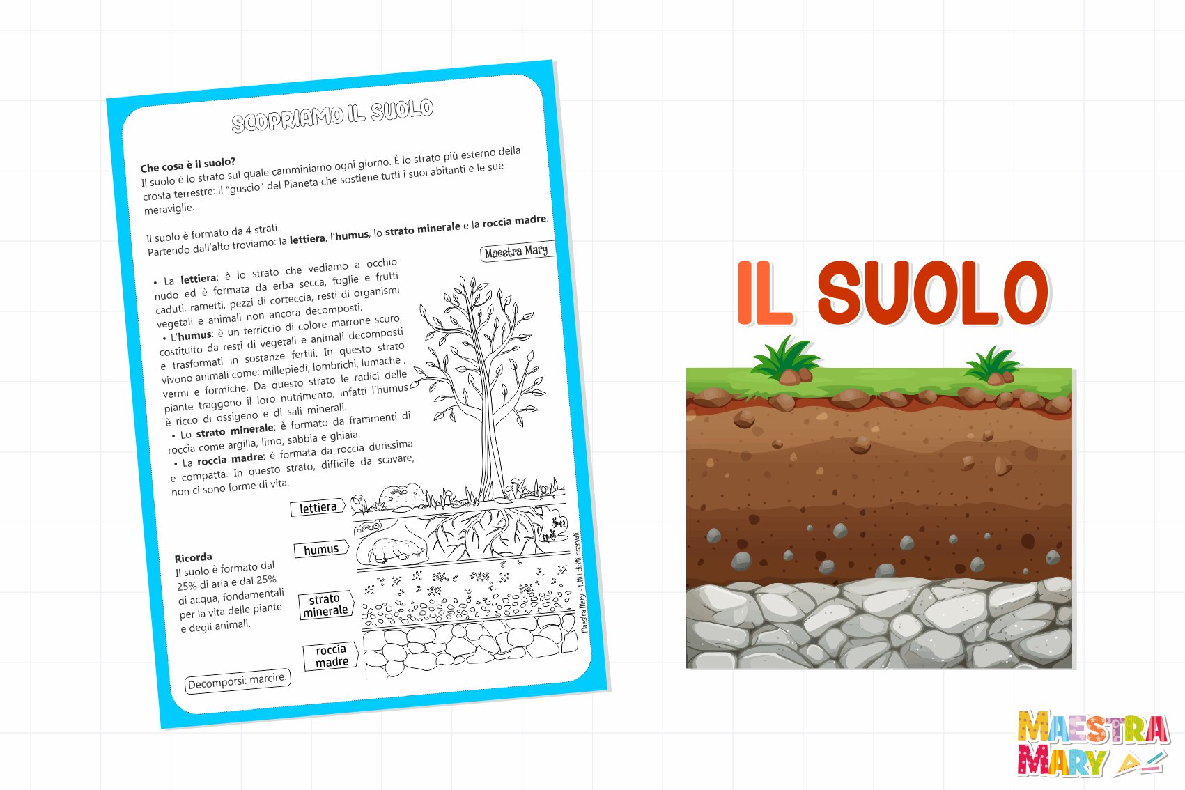 Stampa “Segnali stradali (inglese)” di Kidz Collection