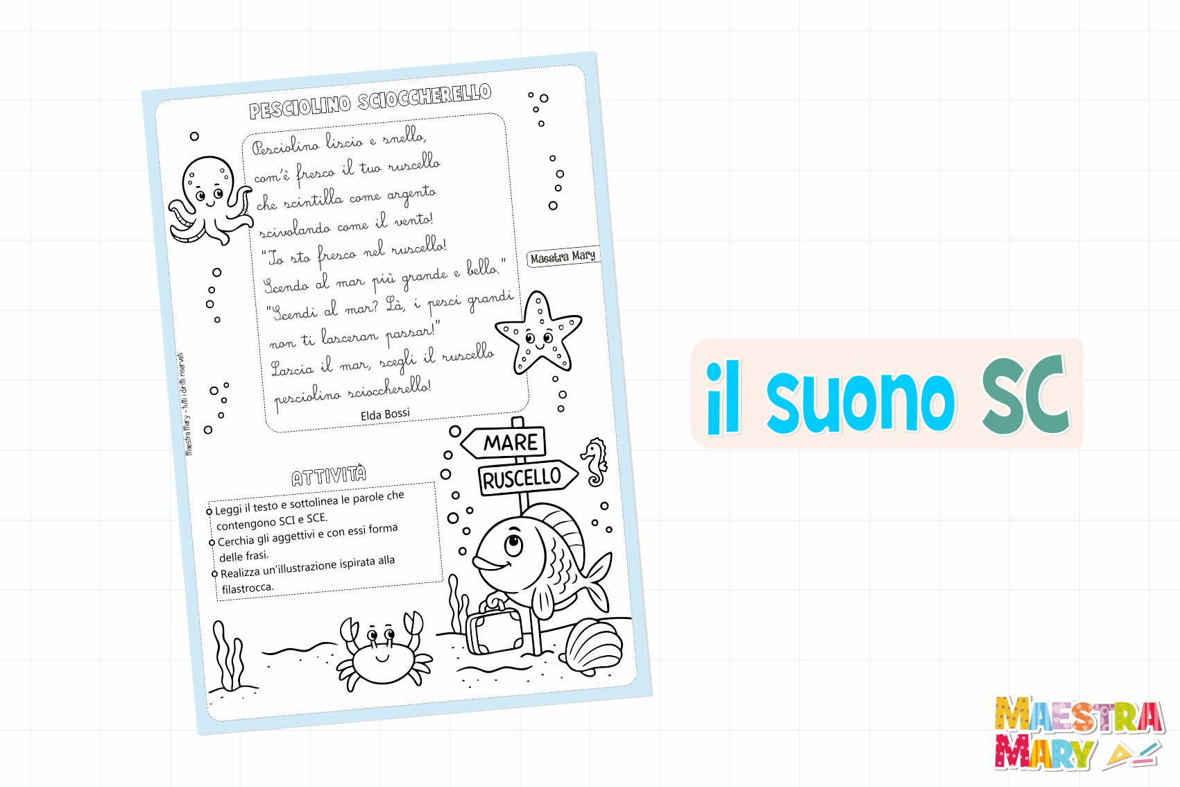 schede di italiano scheda con il suono sc