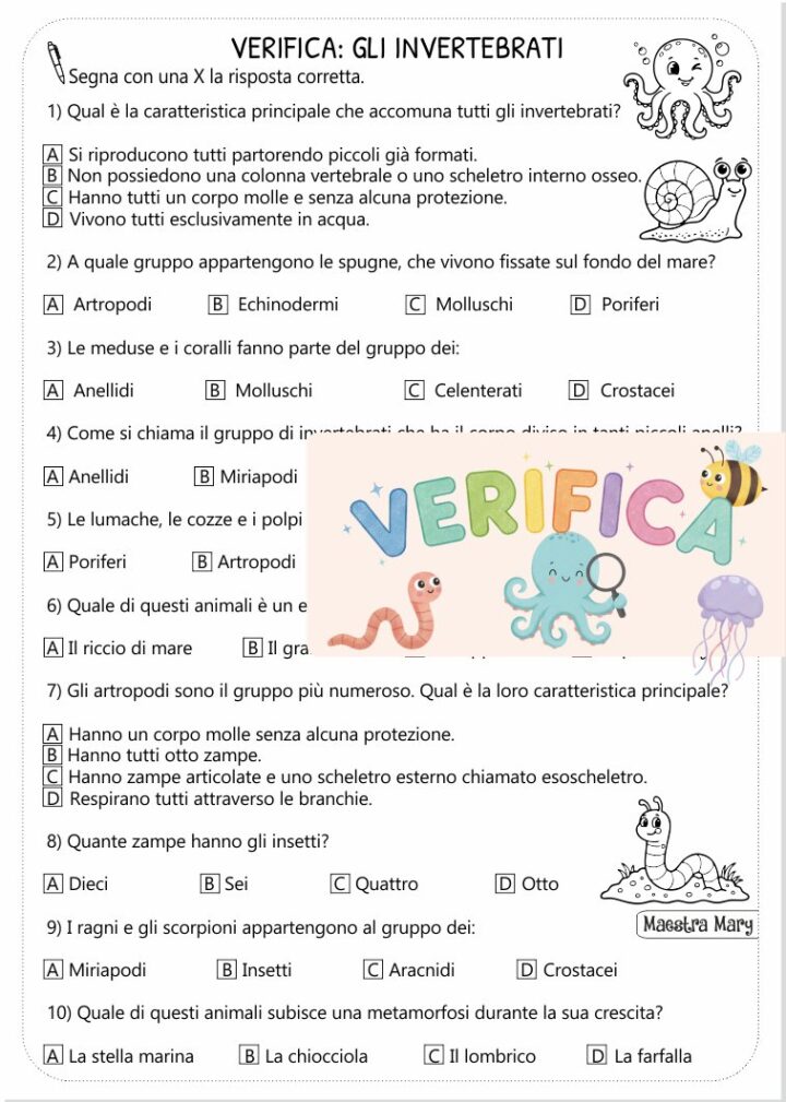 verifica di scienze gli invertebrati