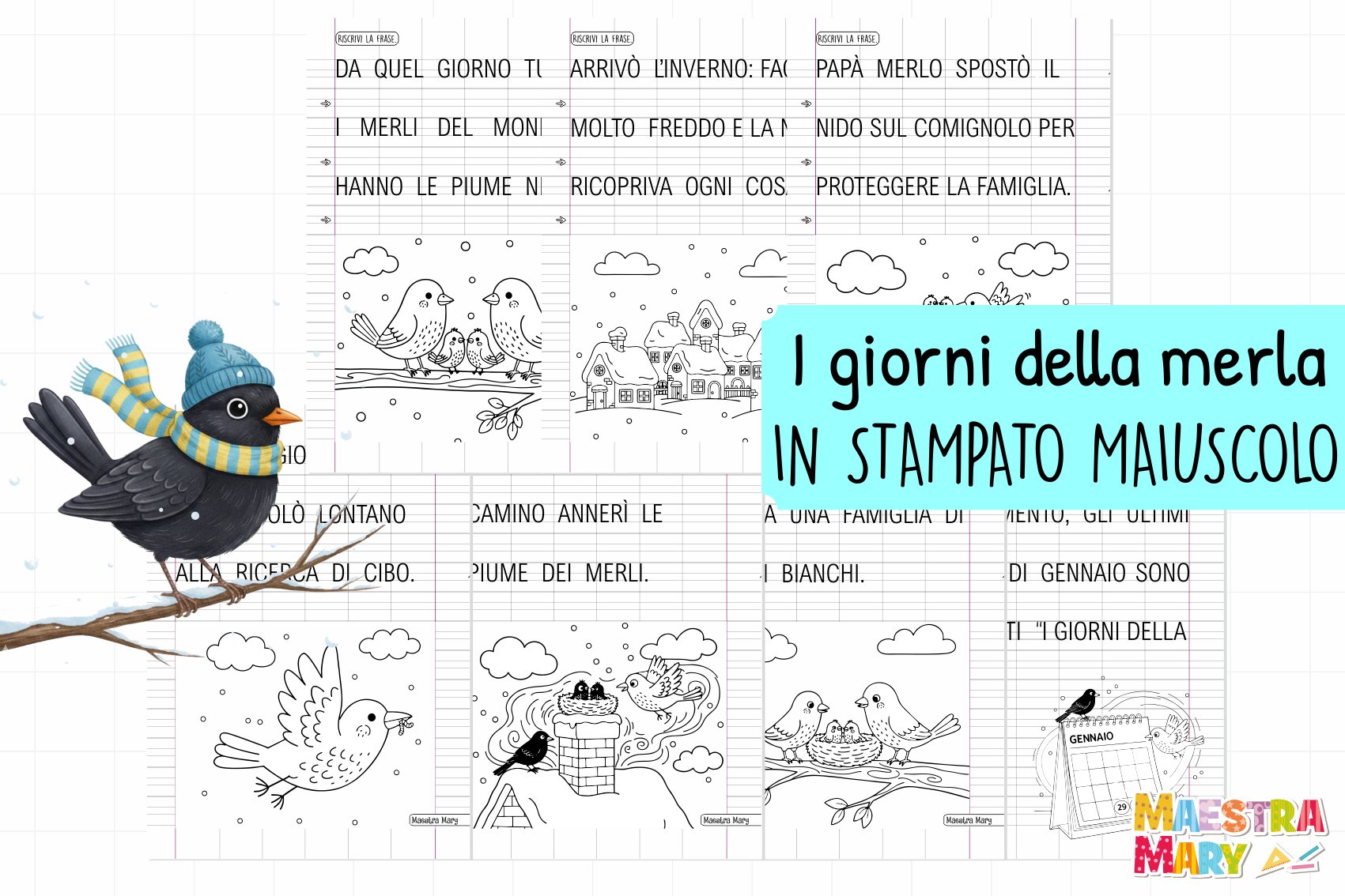 schede stampato maiuscolo