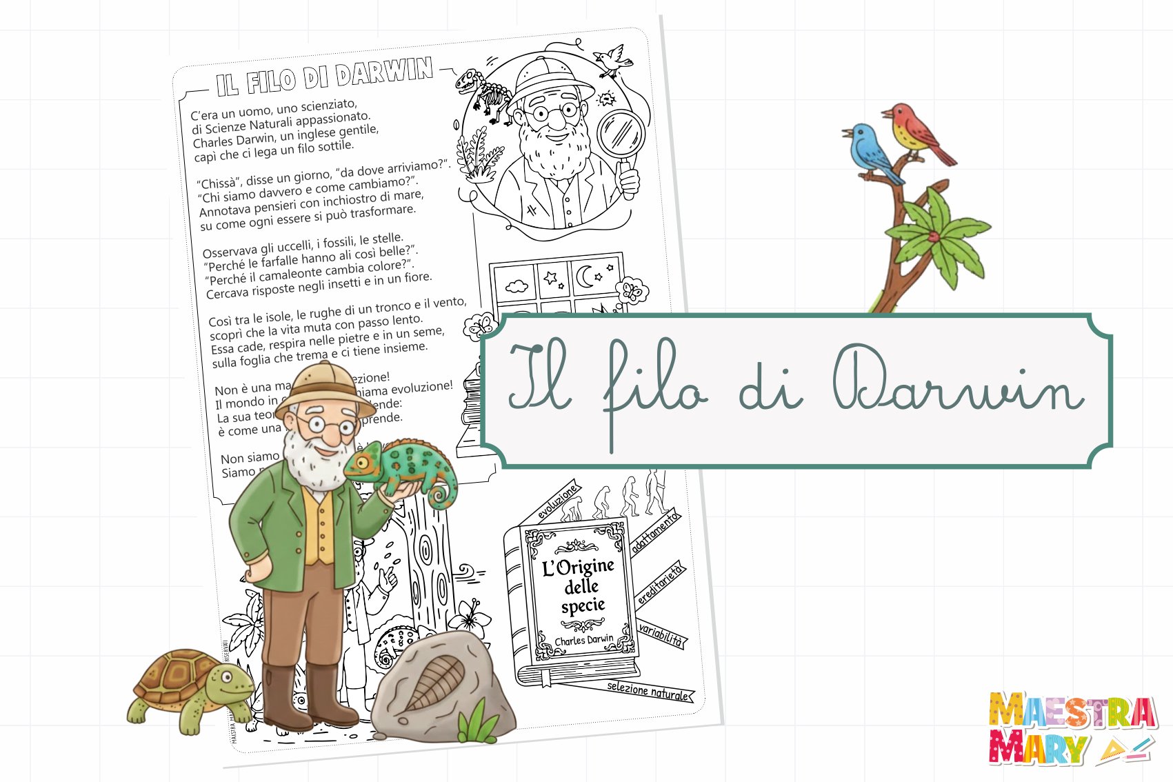 schede scuola primaria Charles Darwin
